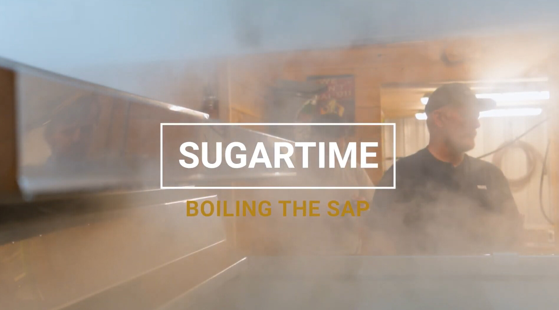 A person boiling sap in a steam-filled room, with the text "Sugartime" overlaying the image.