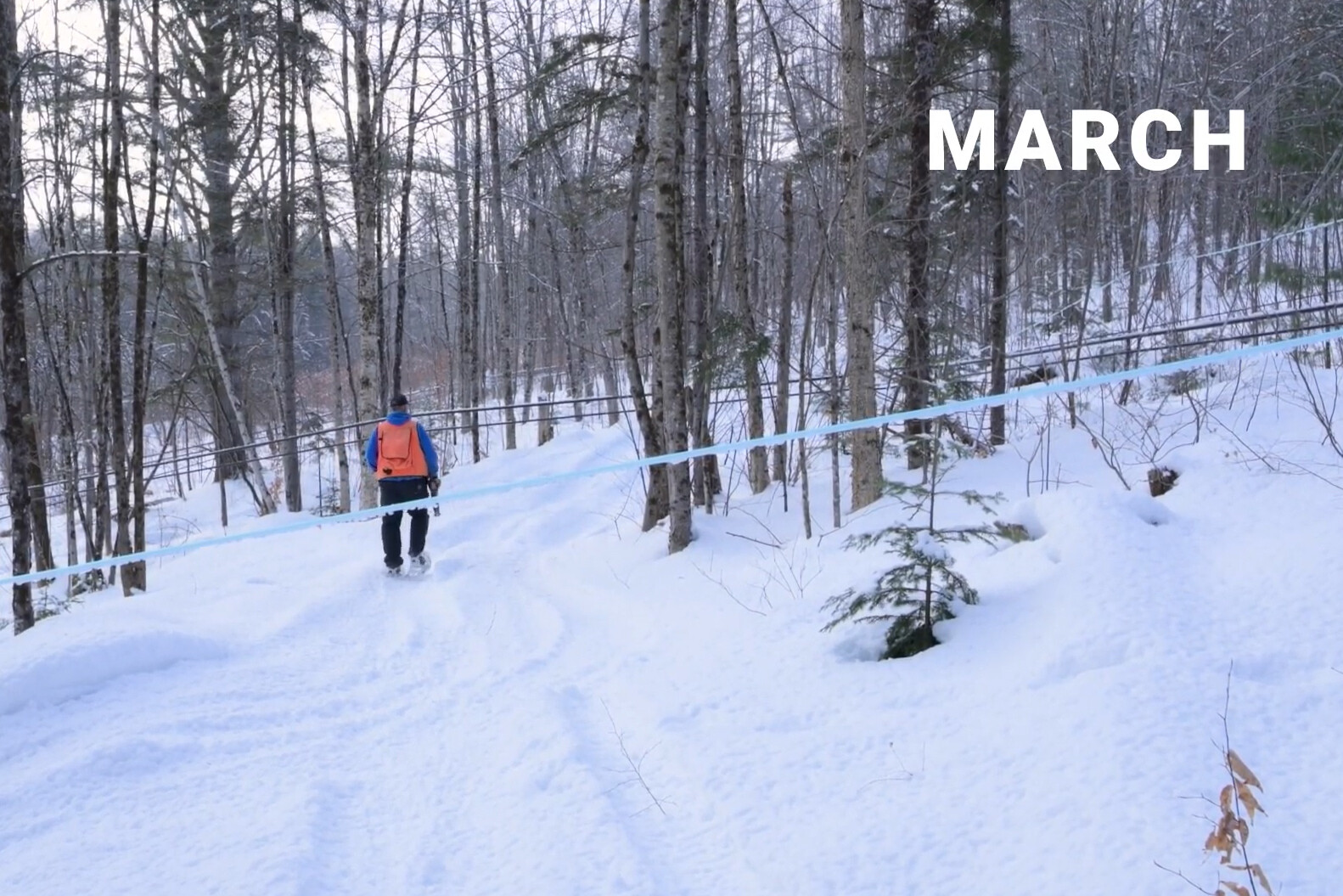 A person snowshoeing on a snowy trail in a forest, with "MARCH" displayed prominently.
